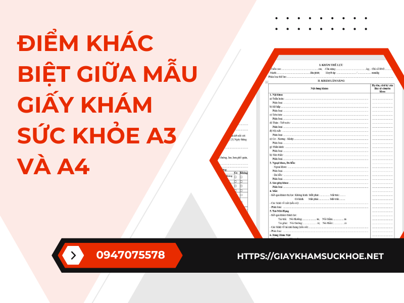 Điểm khác biệt giữa mẫu giấy khám sức khỏe A3 và A4