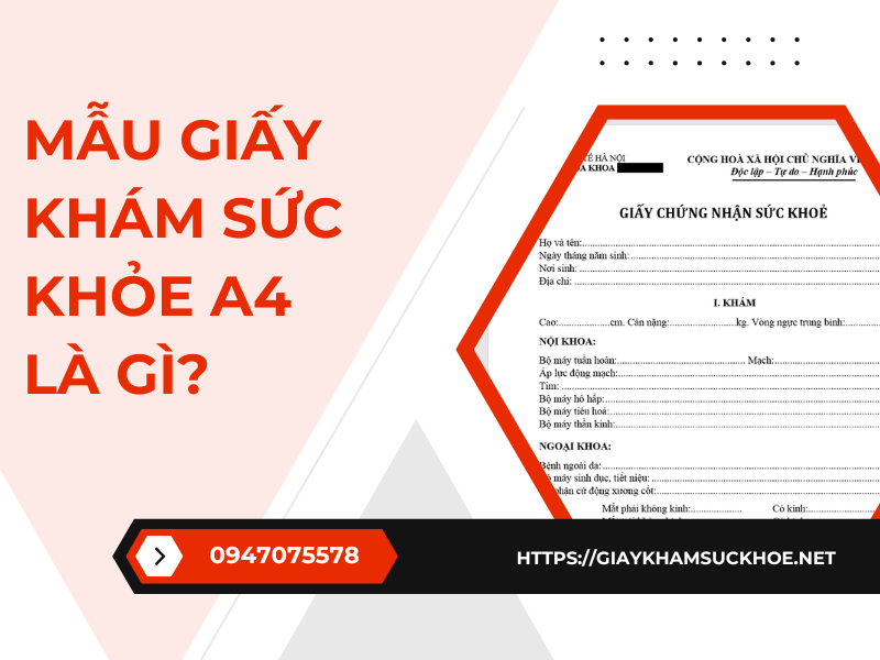 Điểm khác biệt giữa mẫu giấy khám sức khỏe A3 và A4