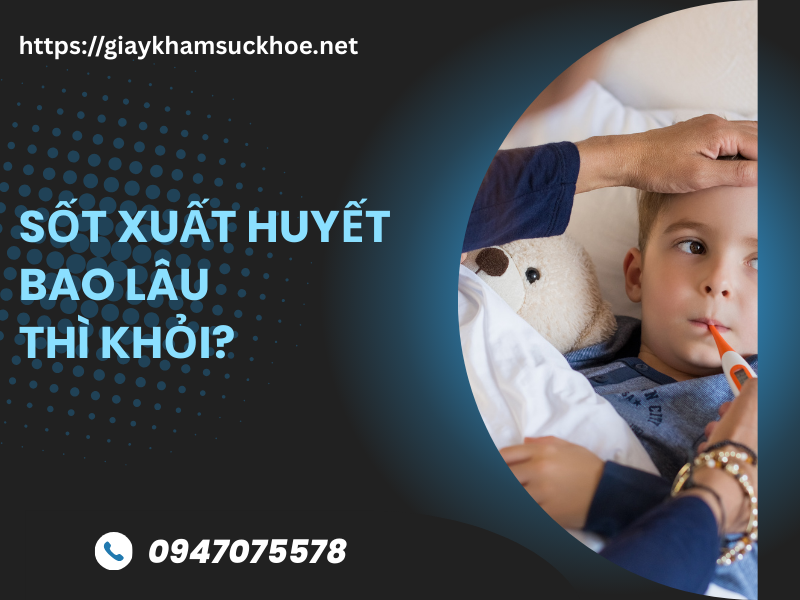 Sốt xuất huyết bao lâu thì khỏi? Các giai đoạn sốt xuất huyết